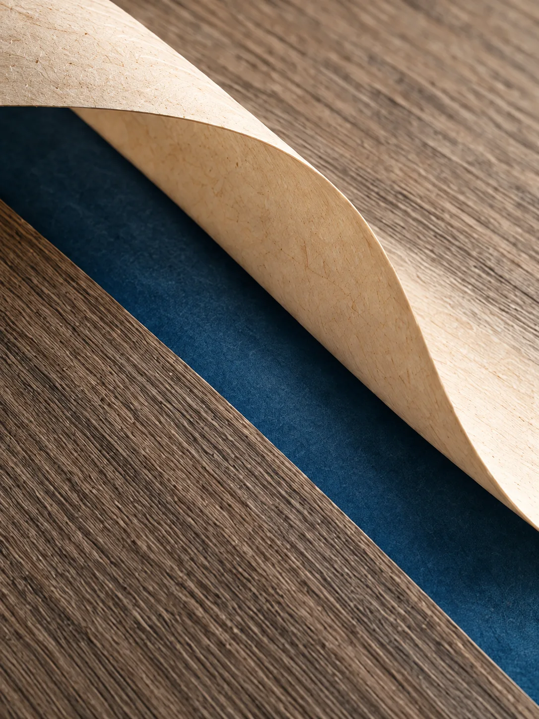 A pale sheet of veneer curling up from a darker wood surface to reveal a strip of deep blue beneath